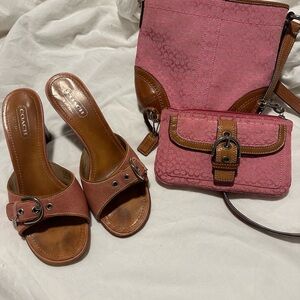 Coach pink and brown set